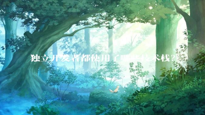 独立开发者都使用了哪些技术栈？