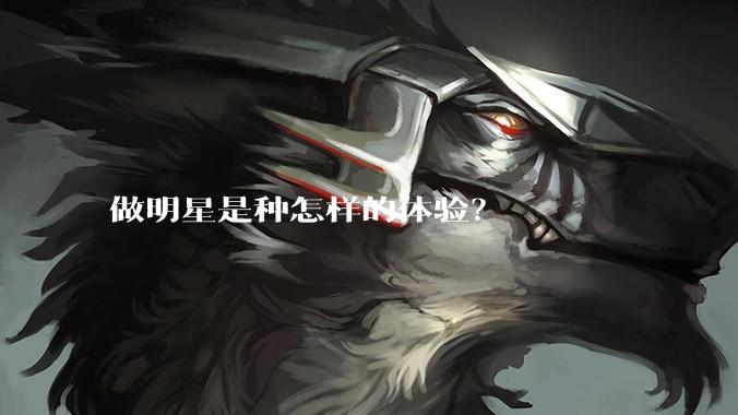 做明星是种怎样的体验？