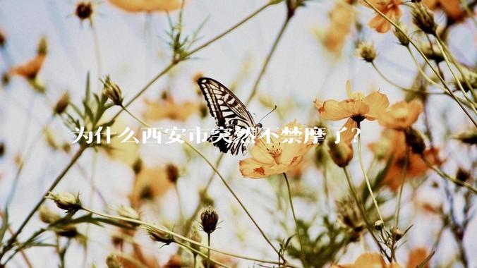 为什么西安市突然不禁摩了？